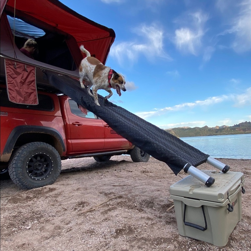 DOGGO RTT Ramp - Picture 9 of 9
